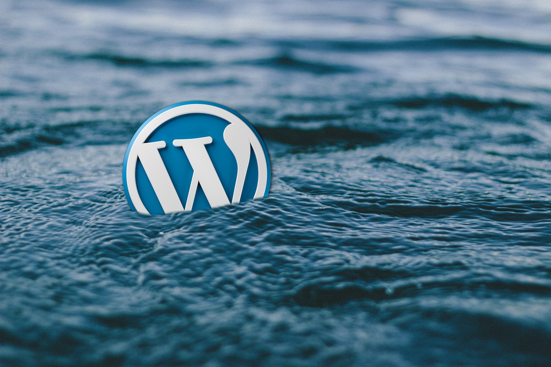 Wordpress logo